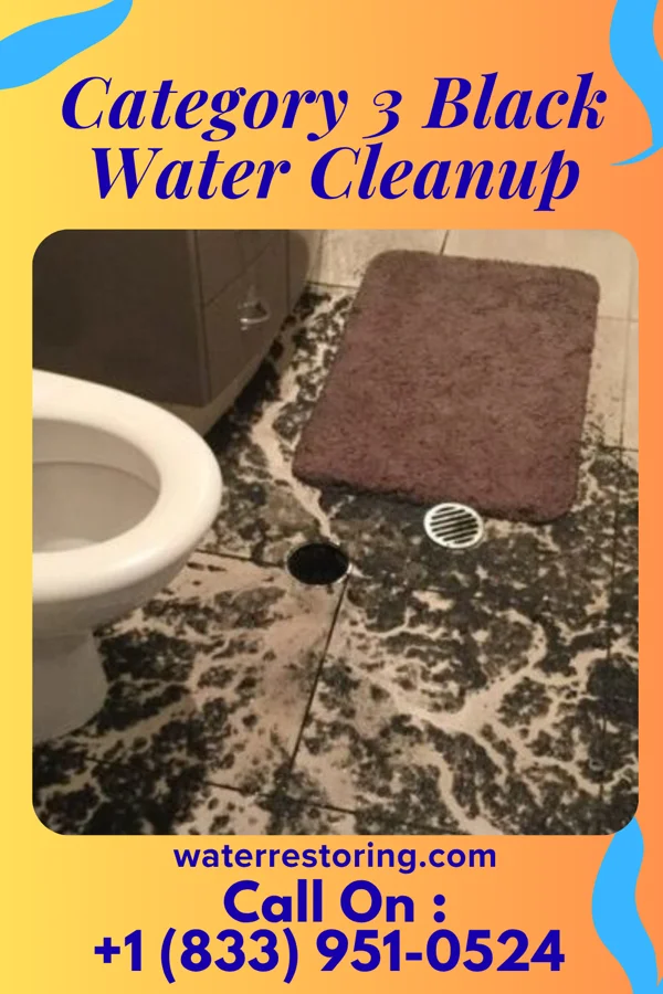 Category 3 Black Water Cleanup in New Richmond, WI