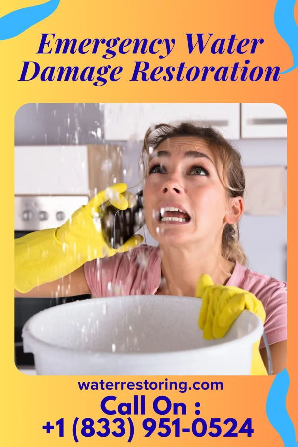 Emergency Water Damage Restoration in New Richmond, WI